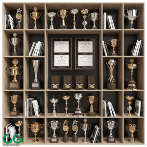 Rack with awards and books
